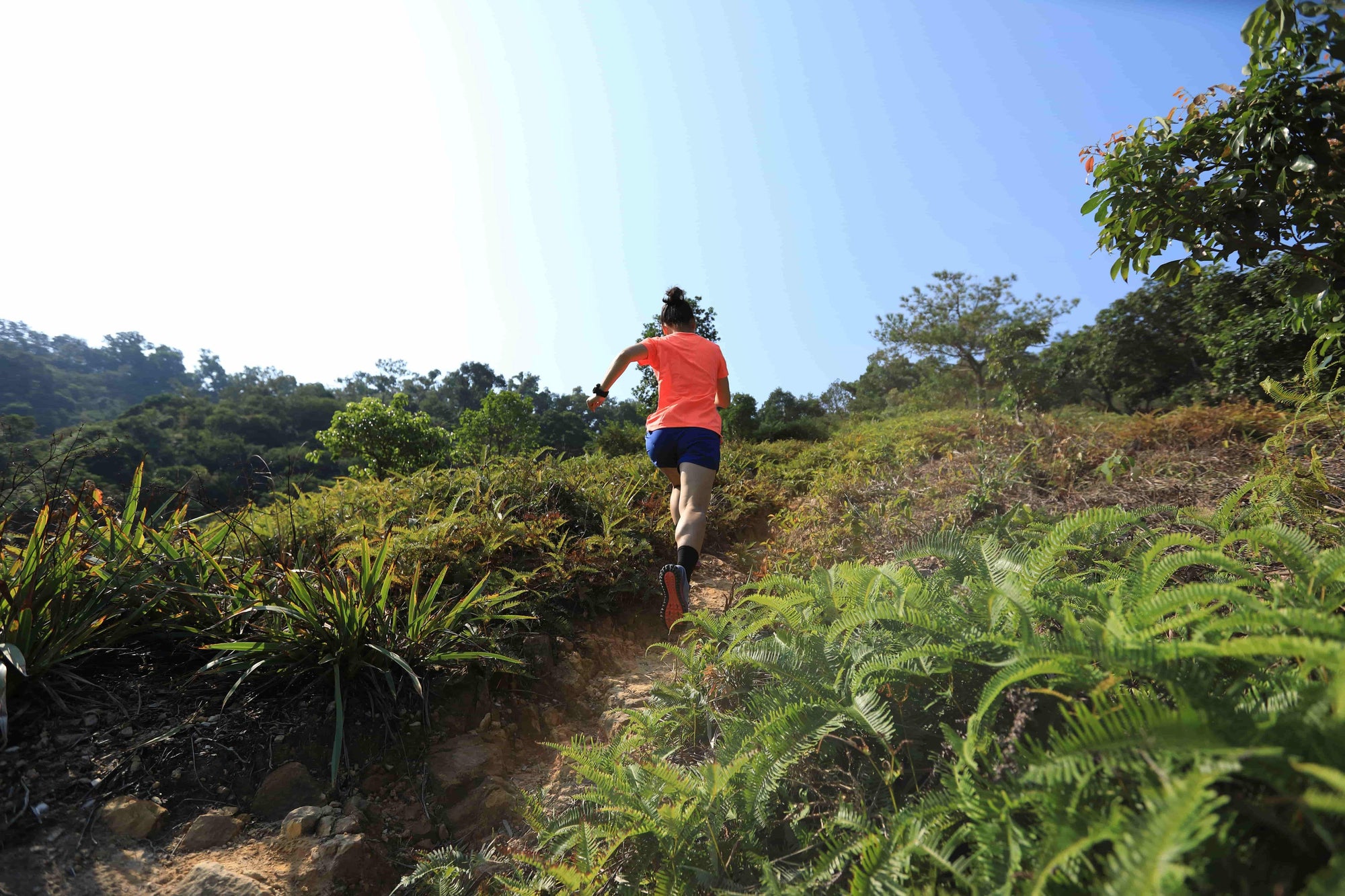 Personne qui court dans un environnement tropical